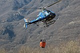 IMG_7137