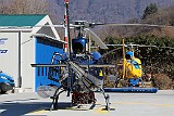 IMG_7186
