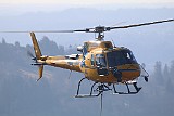 IMG_7407