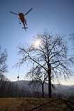IMG_7429
