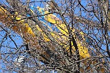 IMG_7646