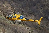 IMG_8495