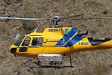 IMG_8503