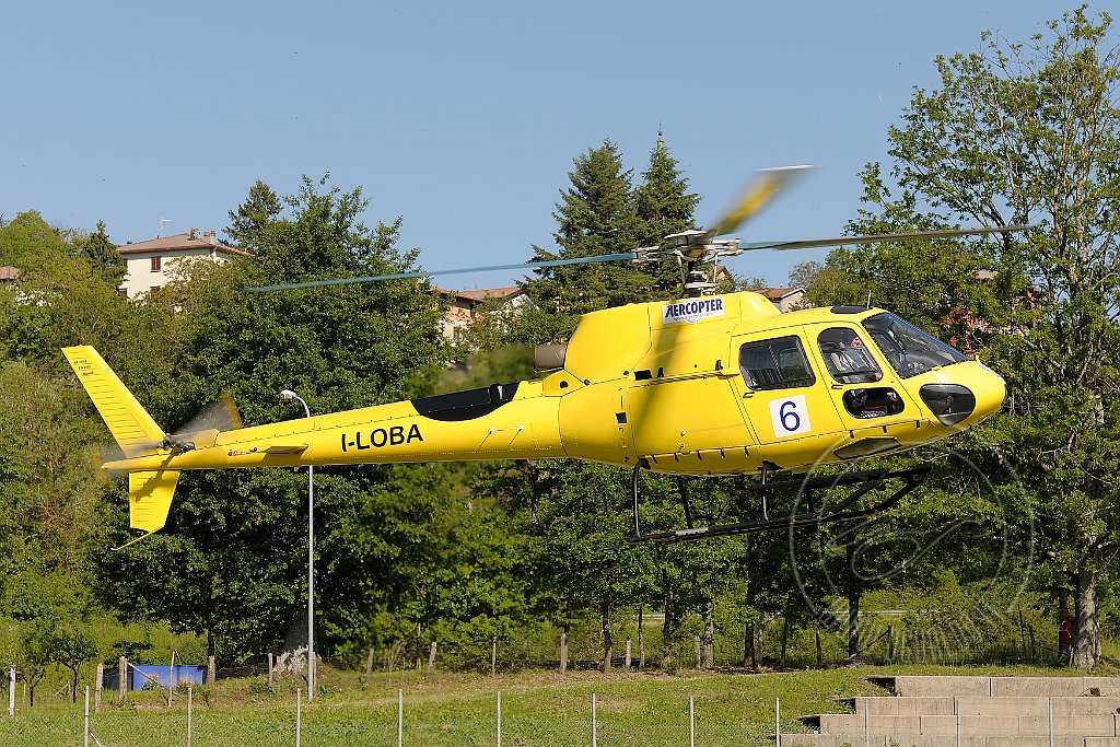 _MUG6647.JPG