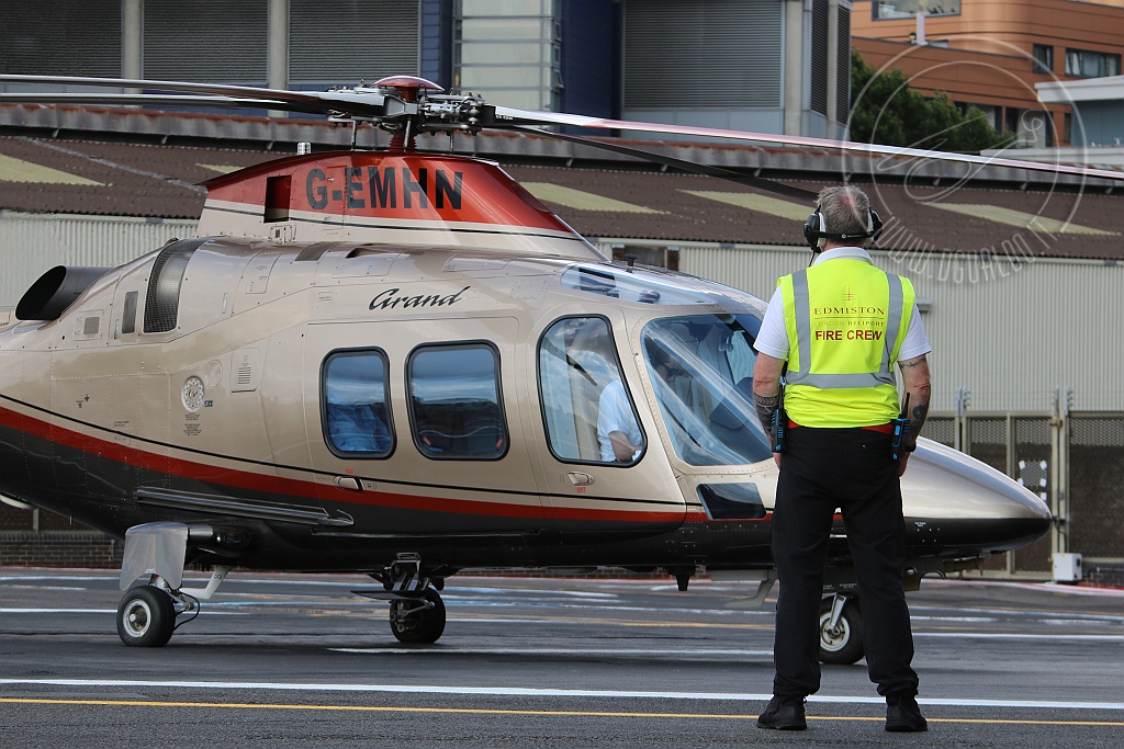 GEMHN_3104_B.jpg