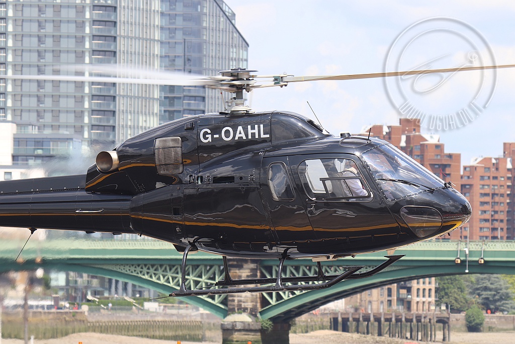 GOAHL_3238_B.jpg