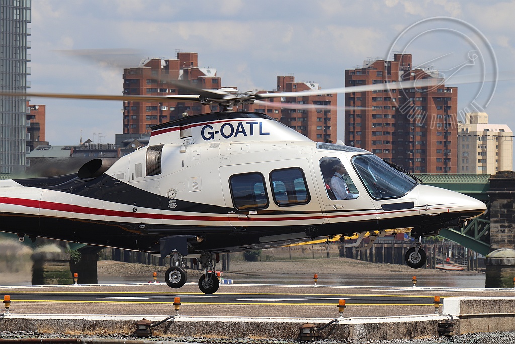 GOATL_2945(2).jpg