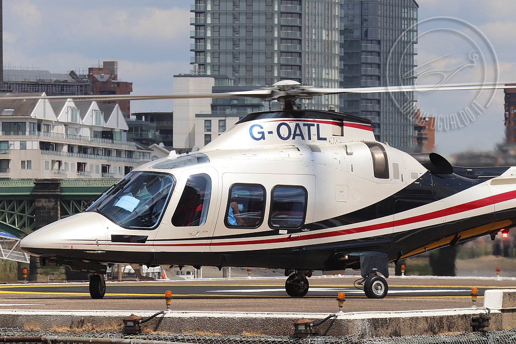 GOATL_3024(2).jpg