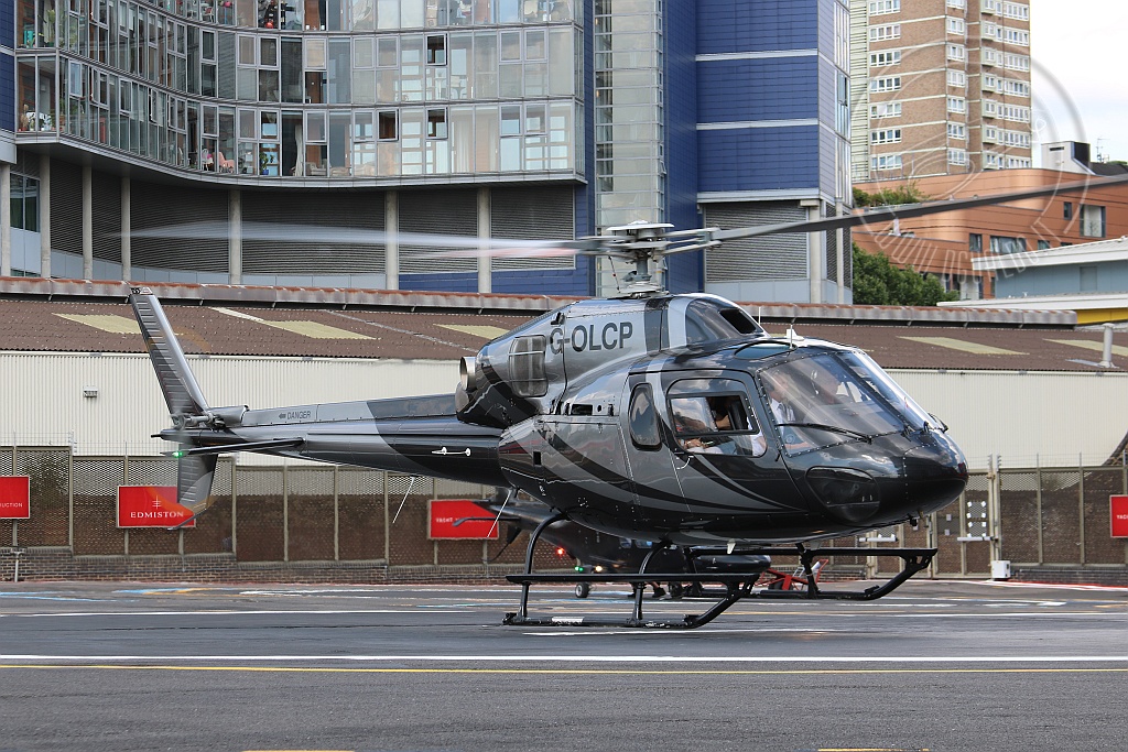 GOLCP_3047.jpg