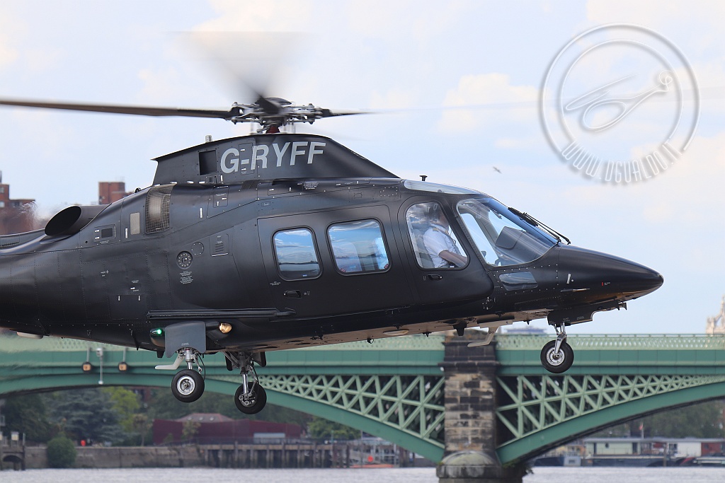 GRYFF_3644_B.jpg