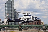 GCMCL_3339
