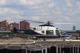 GCMCL_3370