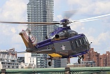 GDVII_3596_B