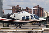 GOATL_2945(2)