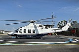 T7LLS_7781_B