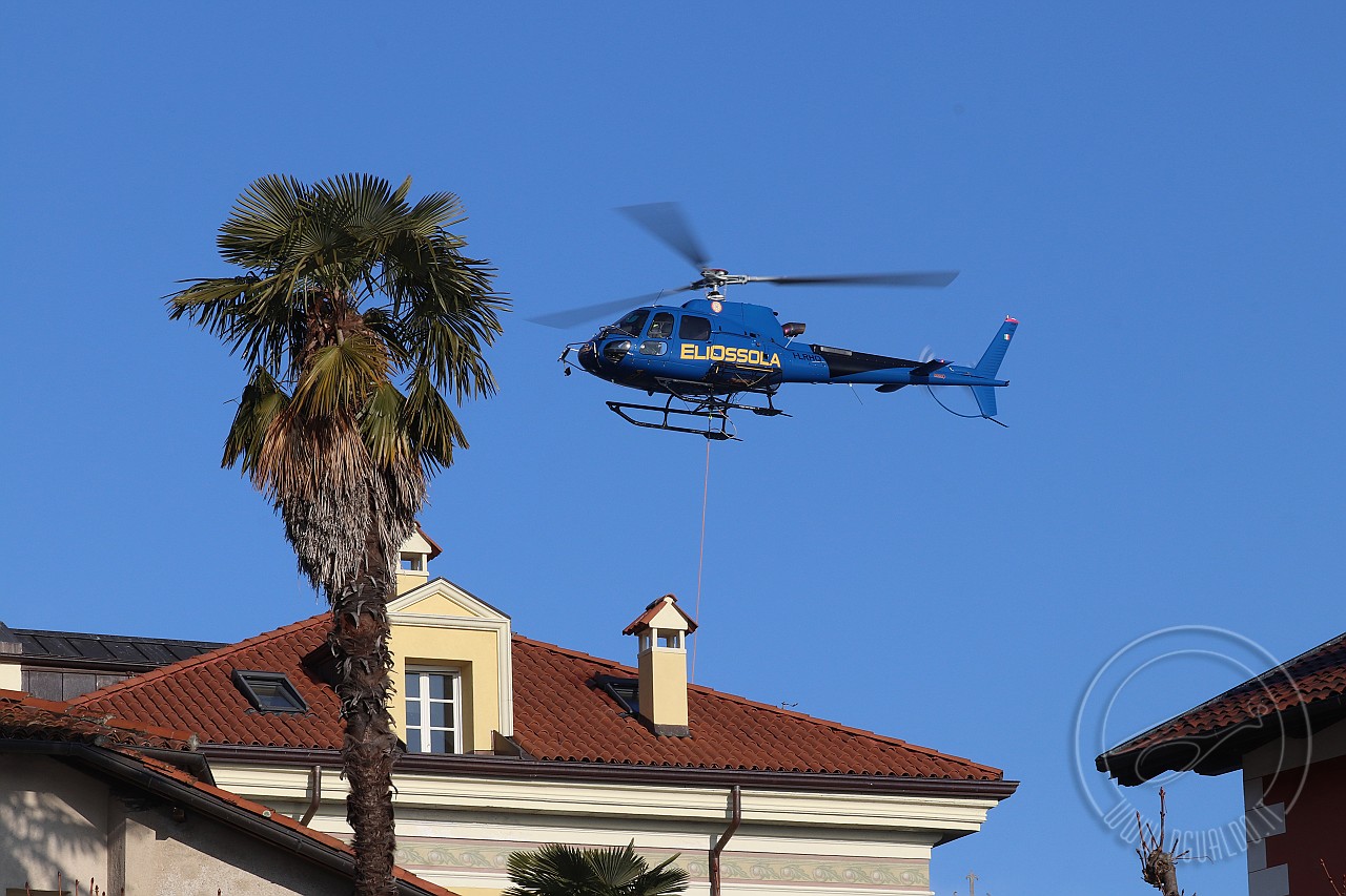 121.JPG