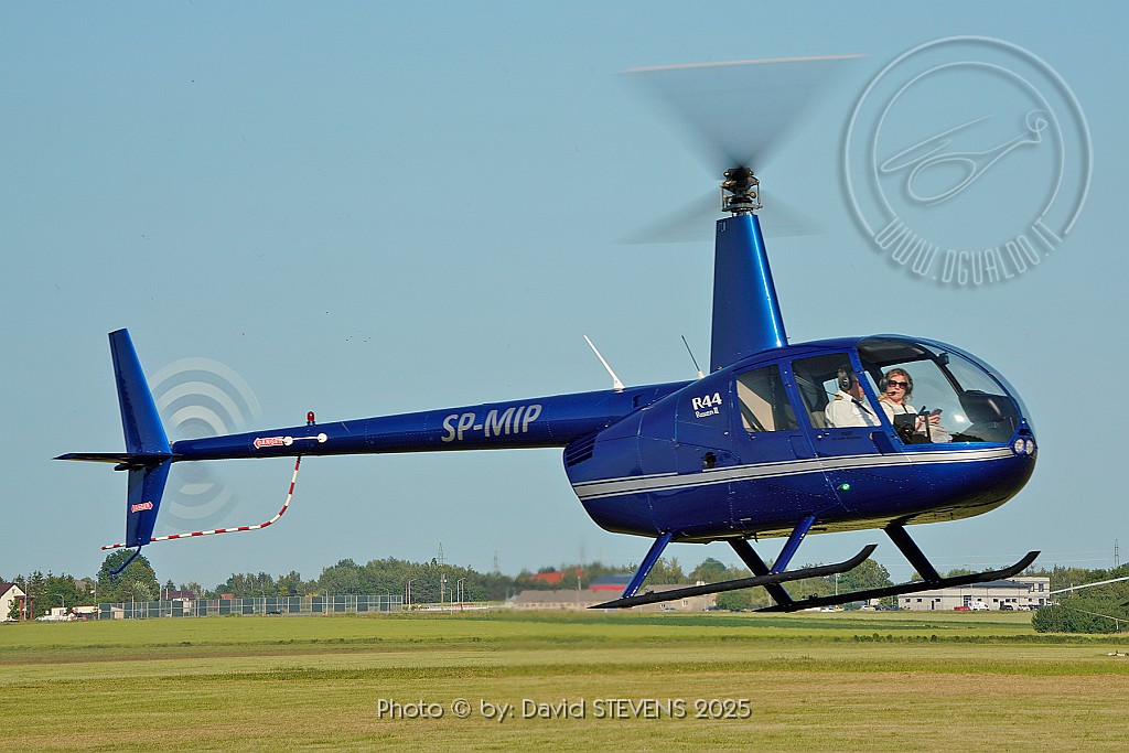 SP-MIP.jpg