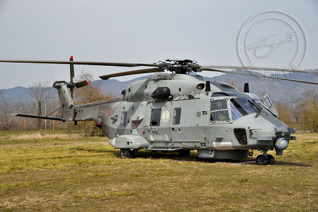 DSC_7959.JPG
